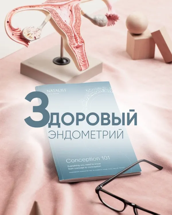 Здоровый эндометрий --- ключевой фактор успешного ЭКО